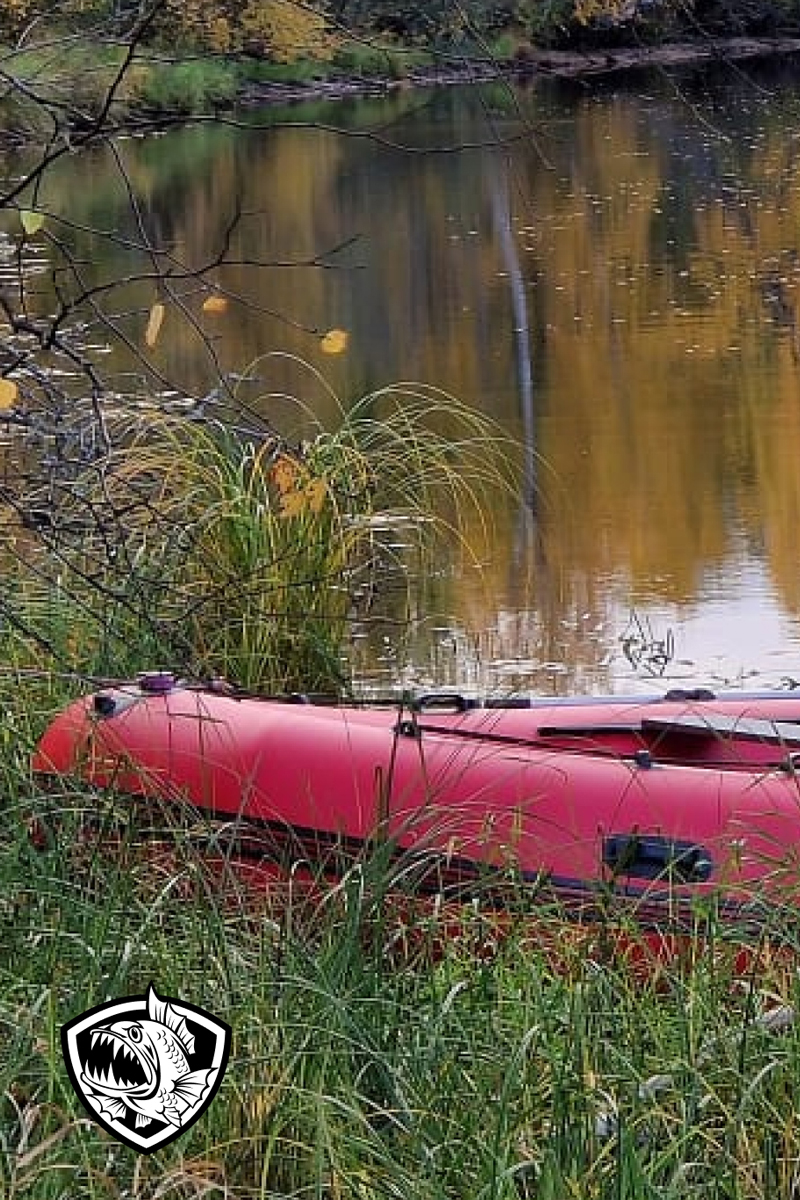 Рыбалка ранней осенью